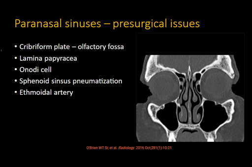 Maxillofacial CT Search Pattern